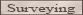 Survey