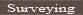 Survey